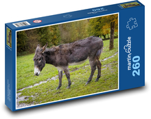 Asinus Puzzle 260 pieces - 41 x 28.7 cm