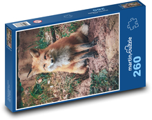 Liška v lese Puzzle 260 dílků - 41 x 28,7 cm
