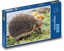 Hedgehog - mammal Puzzle 260 pieces - 41 x 28.7 cm 