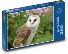 Sova - pták Puzzle 260 dílků - 41 x 28,7 cm