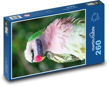 Bunter Papagei Puzzle 260 Teile - 41 x28,7 cm