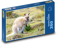 Klokanie mláďa v zoologickej záhrade Puzzle 260 dielikov - 41 x 28,7 cm