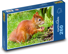 Hrdzavá veverička na tráve Puzzle 260 dielikov - 41 x 28,7 cm 