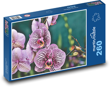 Kvety ružovej orchidey Puzzle 260 dielikov - 41 x 28,7 cm 