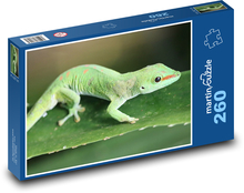 Zielony gekon Puzzle 260 elementów - 41x28,7 cm
