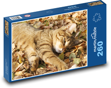 W liściach leży otoczony murem kot Puzzle 260 elementów - 41x28,7 cm