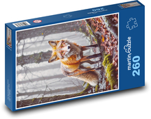 Liška v lese Puzzle 260 dílků - 41 x 28,7 cm