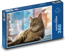 Kot domowy Puzzle 260 elementów - 41x28,7 cm