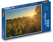 Słońce nad polem słoneczników Puzzle 260 elementów - 41x28,7 cm