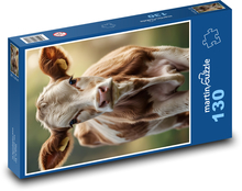 Mladé teľa - domáce zviera Puzzle 130 dielikov - 28,7 x 20 cm 