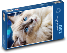 Kot niebieskooki Puzzle 130 elementów - 28,7x20 cm