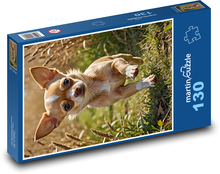 Čivava bežiaca na tráve Puzzle 130 dielikov - 28,7 x 20 cm