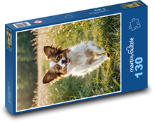 Papillon - malé domáce zviera Puzzle 130 dielikov - 28,7 x 20 cm 