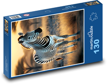 Zebra vo voľnej prírode Puzzle 130 dielikov - 28,7 x 20 cm 