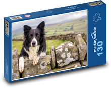 Border Collie - Domestic Pet Puzzle 130 pieces - 28.7 x 20 cm 