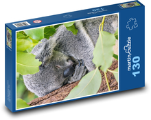 Medveď koala spí na strome Puzzle 130 dielikov - 28,7 x 20 cm 