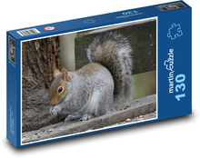 Wiewiórka szara Puzzle 130 elementów - 28,7x20 cm