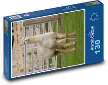 Alpaka im Zoo Puzzle 130 Teile - 28,7x20 cm