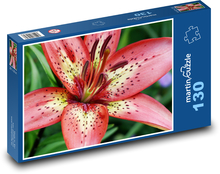 Red lily - flower, plant Puzzle 130 pieces - 28.7 x 20 cm 