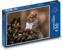 Eichhörnchen - Nagetier, Tier Puzzle 130 Teile - 28,7x20 cm