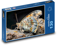 Motýľ - hmyz Puzzle 130 dielikov - 28,7 x 20 cm 