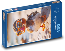 Duck in glasses Puzzle 130 pieces - 28.7 x 20 cm