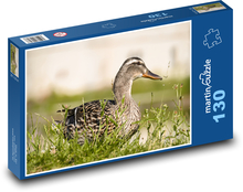 Kachna v trávě Puzzle 130 dílků - 28,7 x 20 cm