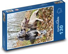 Psi Puzzle 130 dílků - 28,7 x 20 cm