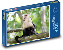 Capuchin Monkey Puzzle 130 pieces - 28.7 x 20 cm 