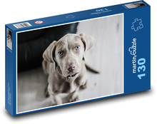 Weimaraner - Welpe Puzzle 130 Teile - 28,7x20 cm