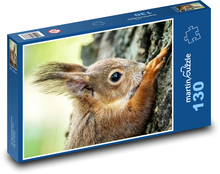 Veverica. Puzzle 130 dielikov - 28,7 x 20 cm 