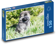 Šteňa Eurasier aloha Puzzle 130 dielikov - 28,7 x 20 cm