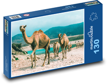 Wielbłądy - Oman Puzzle 130 elementów - 28,7x20 cm