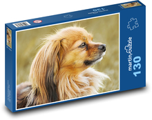 Čivava - pes Puzzle 130 dielikov - 28,7 x 20 cm