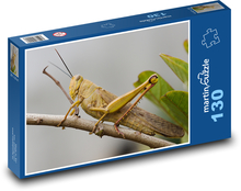 Locusts - insects Puzzle 130 pieces - 28.7 x 20 cm 