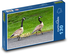 Kačice - rodina Puzzle 130 dielikov - 28,7 x 20 cm 