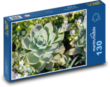 Sukulent - rastlina Puzzle 130 dielikov - 28,7 x 20 cm 