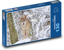 Wolf - Mongolia Puzzle 130 pieces - 28.7 x 20 cm 