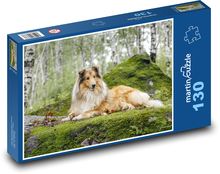 Długowłosy collie w lesie Puzzle 130 elementów - 28,7x20 cm