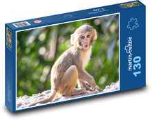 Opica - šimpanz Puzzle 130 dielikov - 28,7 x 20 cm 