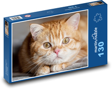 Britská krátkosrstá mačka Puzzle 130 dielikov - 28,7 x 20 cm 