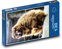 Lemur czerwonobrzuchy Puzzle 130 elementów - 28,7x20 cm