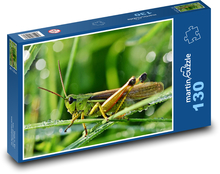 Hmyz - saranče Puzzle 130 dílků - 28,7 x 20 cm