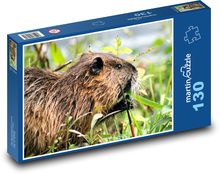 Nutria - gryzoń Puzzle 130 elementów - 28,7x20 cm