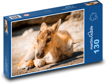 Finnische Waldrentiere Puzzle 130 Teile - 28,7x20 cm