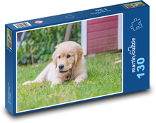 Golden Retriever - Welpe Puzzle 130 Teile - 28,7x20 cm