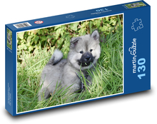 Eurasier - pies Puzzle 130 elementów - 28,7x20 cm