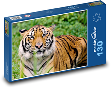 Mammal - tiger Puzzle 130 pieces - 28.7 x 20 cm