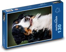 Bernský salašnický pes Puzzle 130 - 28,7x20 cm