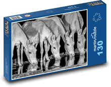 Voľne žijúce zvieratá Puzzle 130 dielikov - 28,7 x 20 cm 